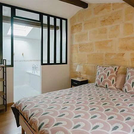 Chateau Erigoye Pensjonat Beychac-et-Caillau