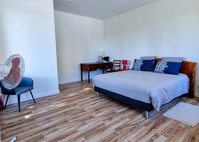 Chateau Erigoye בית הארחה Beychac-et-Caillau