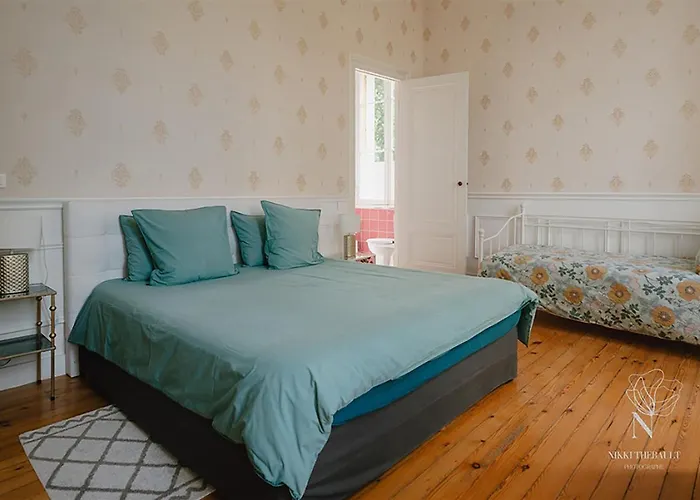 Chateau Erigoye 4* Beychac-et-Caillau